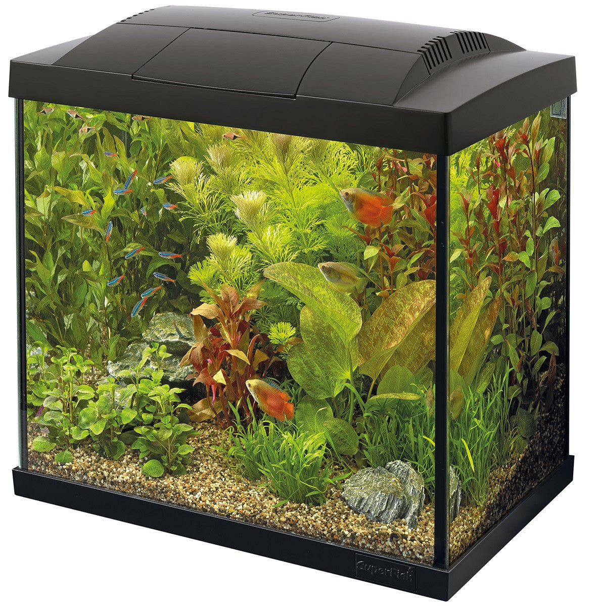 SuperFish START 50 40 L noir — aquarium