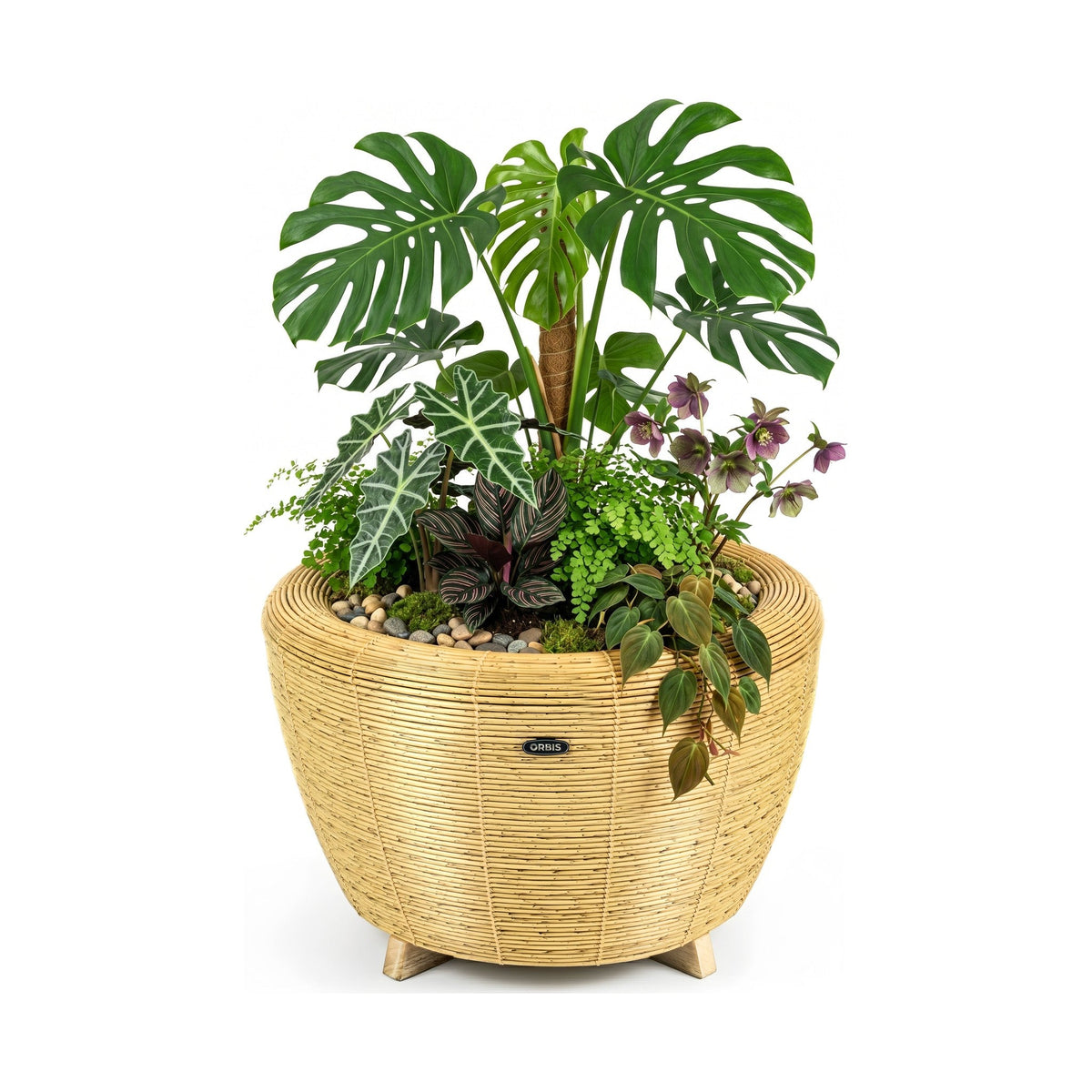 Jardinière Orbis Planter anthracite - Velda