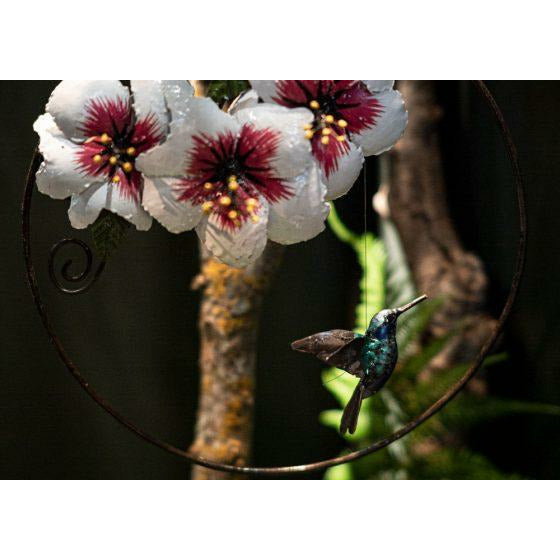 Arrosoir & Persil Cercle Colibri hibiscus - Animal décoratif en métal recyclé 22003