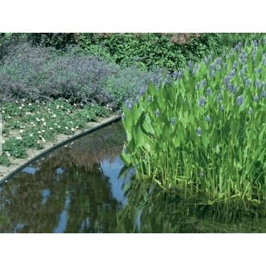 ECOO Bordures de bassin Ecolat enroulée Brun - 10M x 14CM x 0.7CM - Bordure de bassin ECOO 5400541021833 55062
