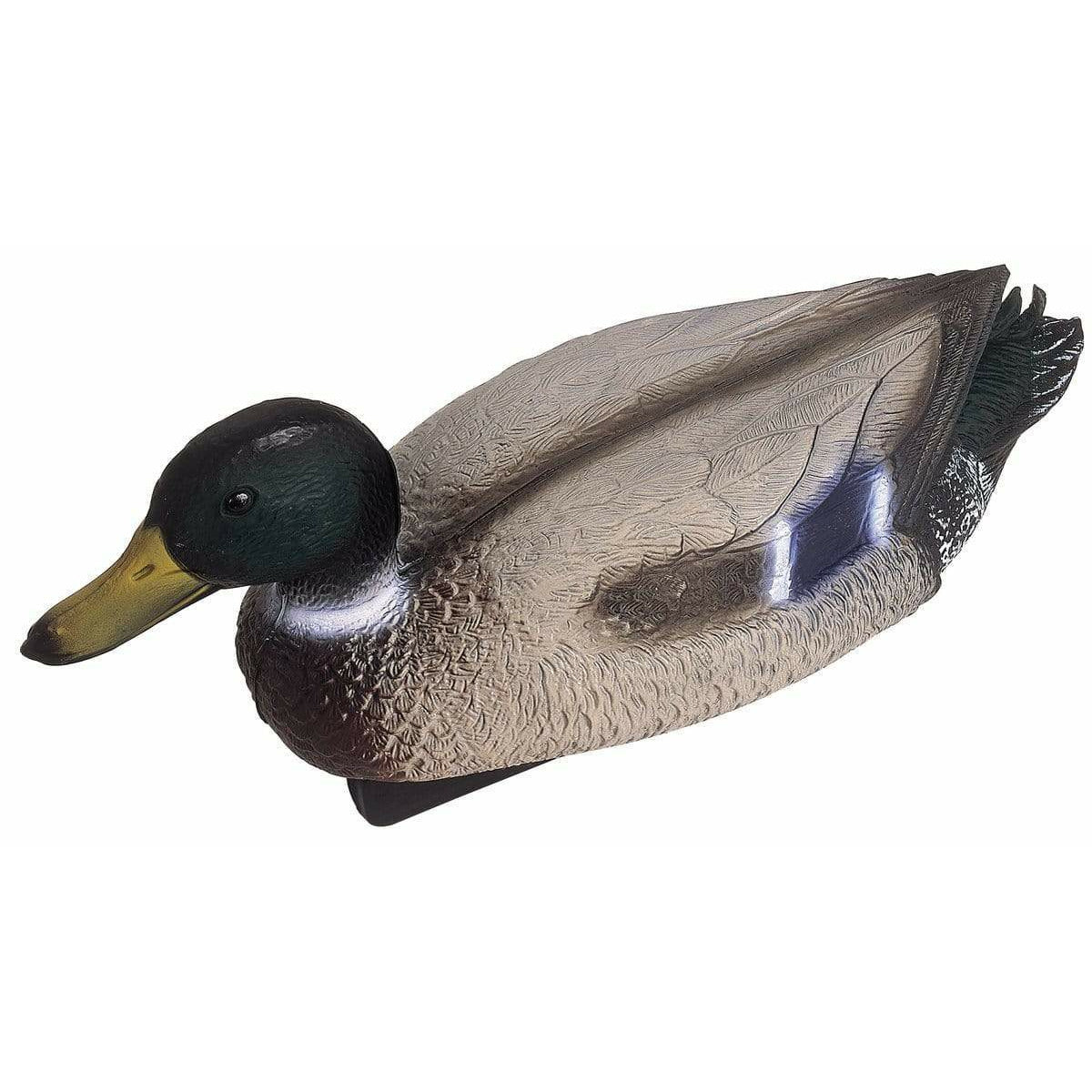 Oase Living Water Figurines Figurine bassin Canard colvert mâle 4010052368641 36864