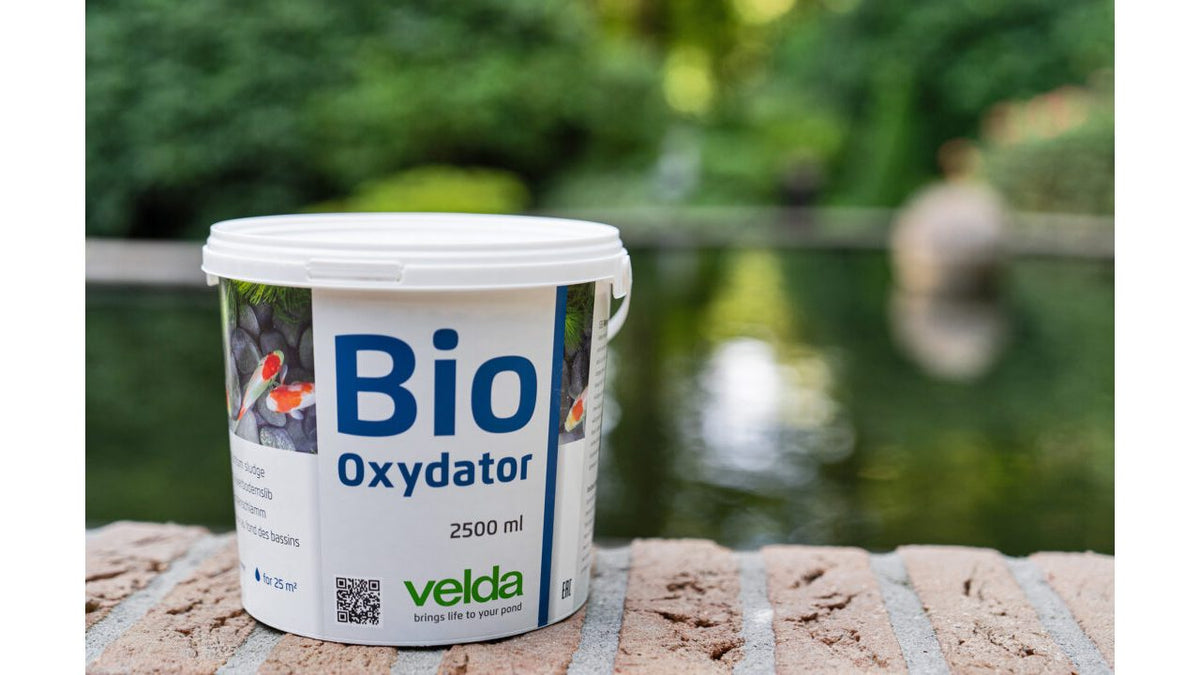 Bio-Oxydator 2500 ml - Velda