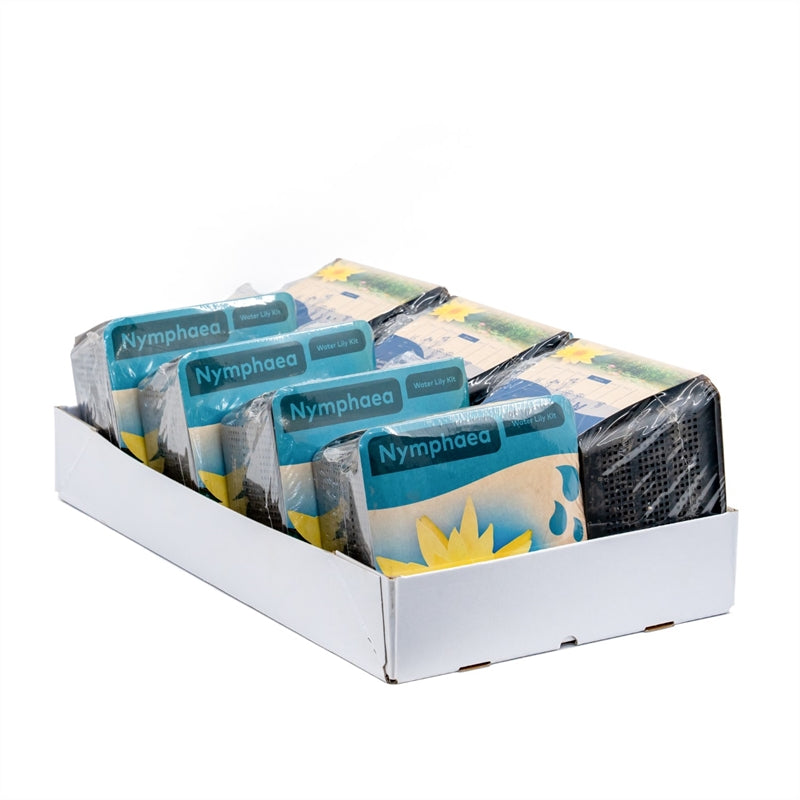 Gele Waterlelie - Nymphaea in droge KIT