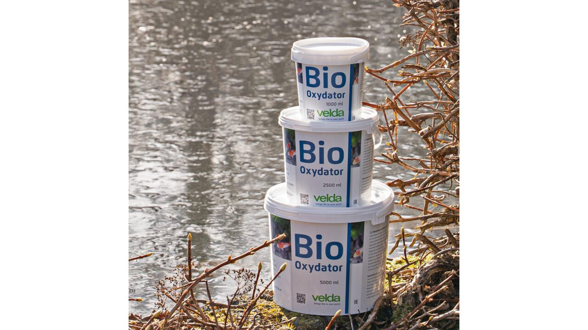 Bio-Oxydator 2500 ml - Velda