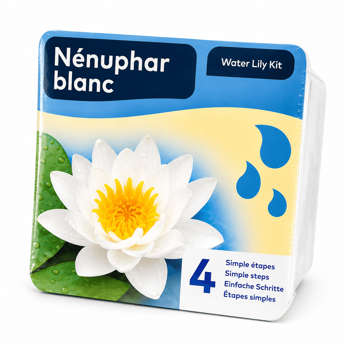 Aquipond Nénuphar blanc en kit sec – Nymphaea prêt à planter (panier inclus)