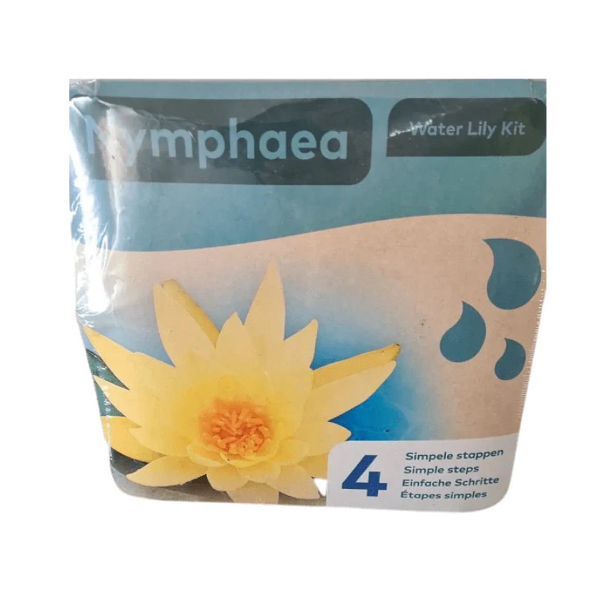 Aquipond Nénuphar jaune en kit sec – Nymphaea prêt à planter (panier inclus)