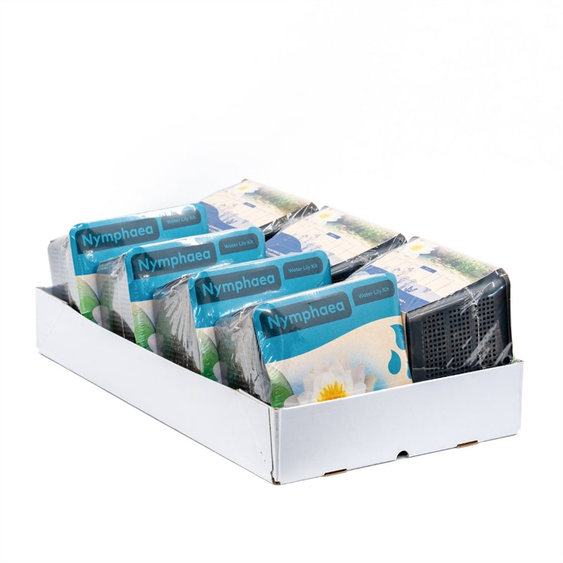 Witte Waterlelie - Nymphaea in droge KIT