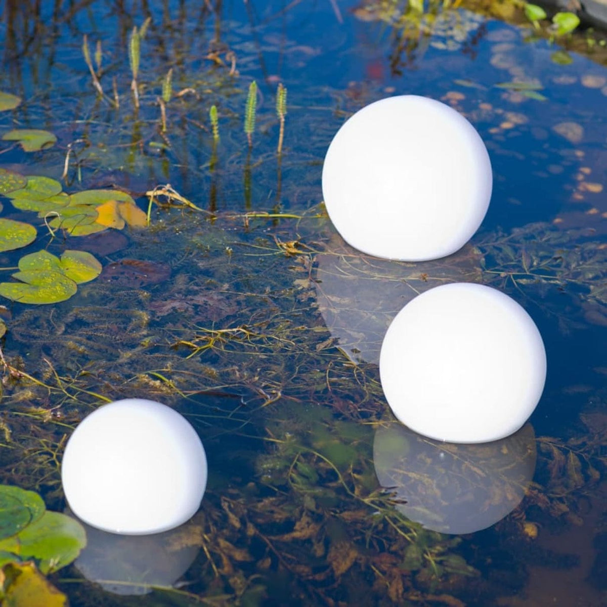 FOUDEBASSIN.COM MultiBright SolarFloat 20 8711465540254 1354025