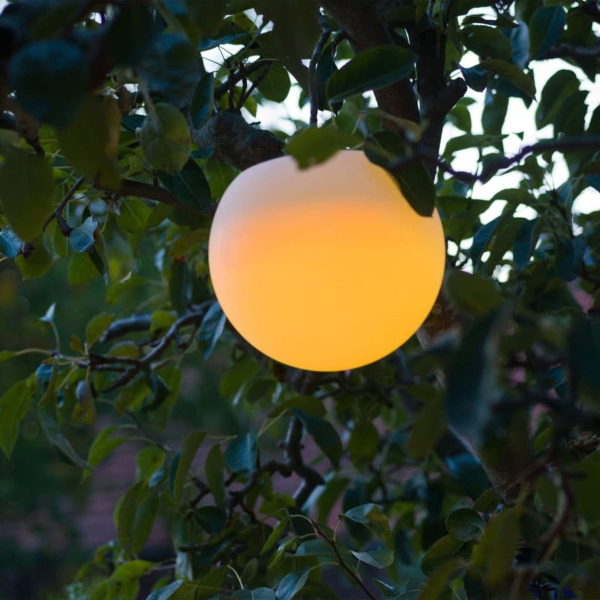 FOUDEBASSIN.COM MultiBright SolarFloat 20 8711465540254 1354025