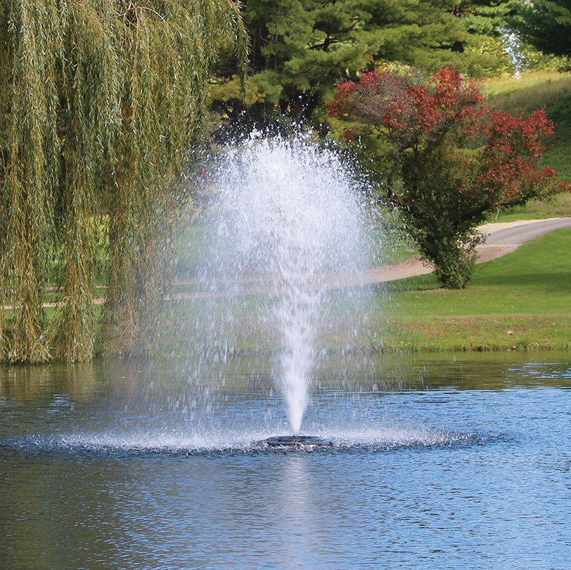 Fontaine flottante Kasco, jet Birch