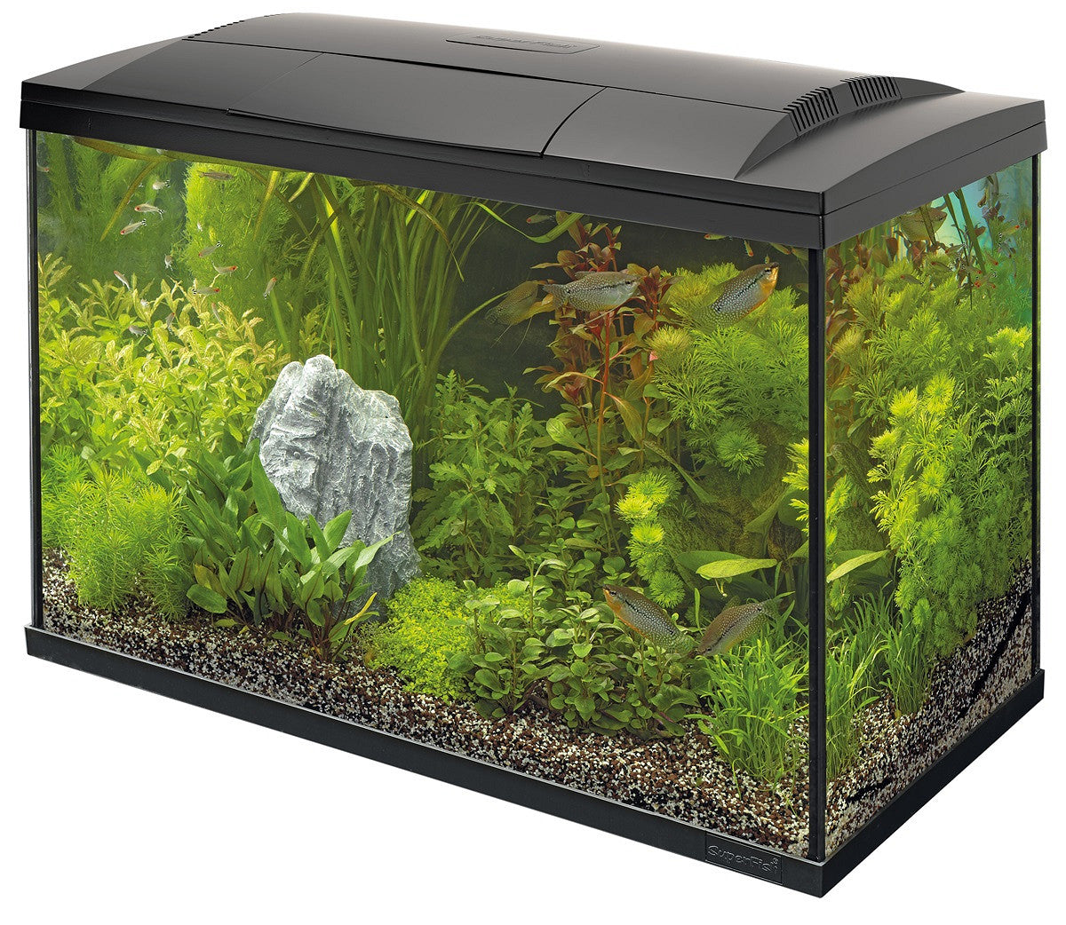 SuperFish START 100 90 L noir — aquarium