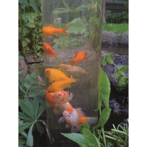 Ubbink Cadeaux Tour à poissons - FISHTOWER "100" EN ACRYLIQUE DE H50 X 4MM 8711465721622 1372162