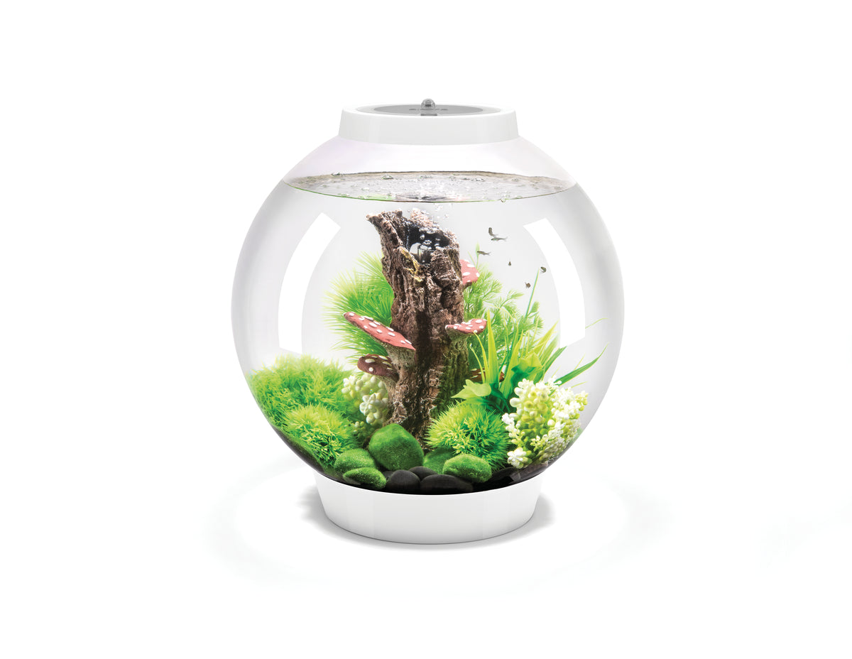 Aquarium biOrb CLASSIC 30 MCR blanc — biOrb CLASSIC 30 MCR wit
