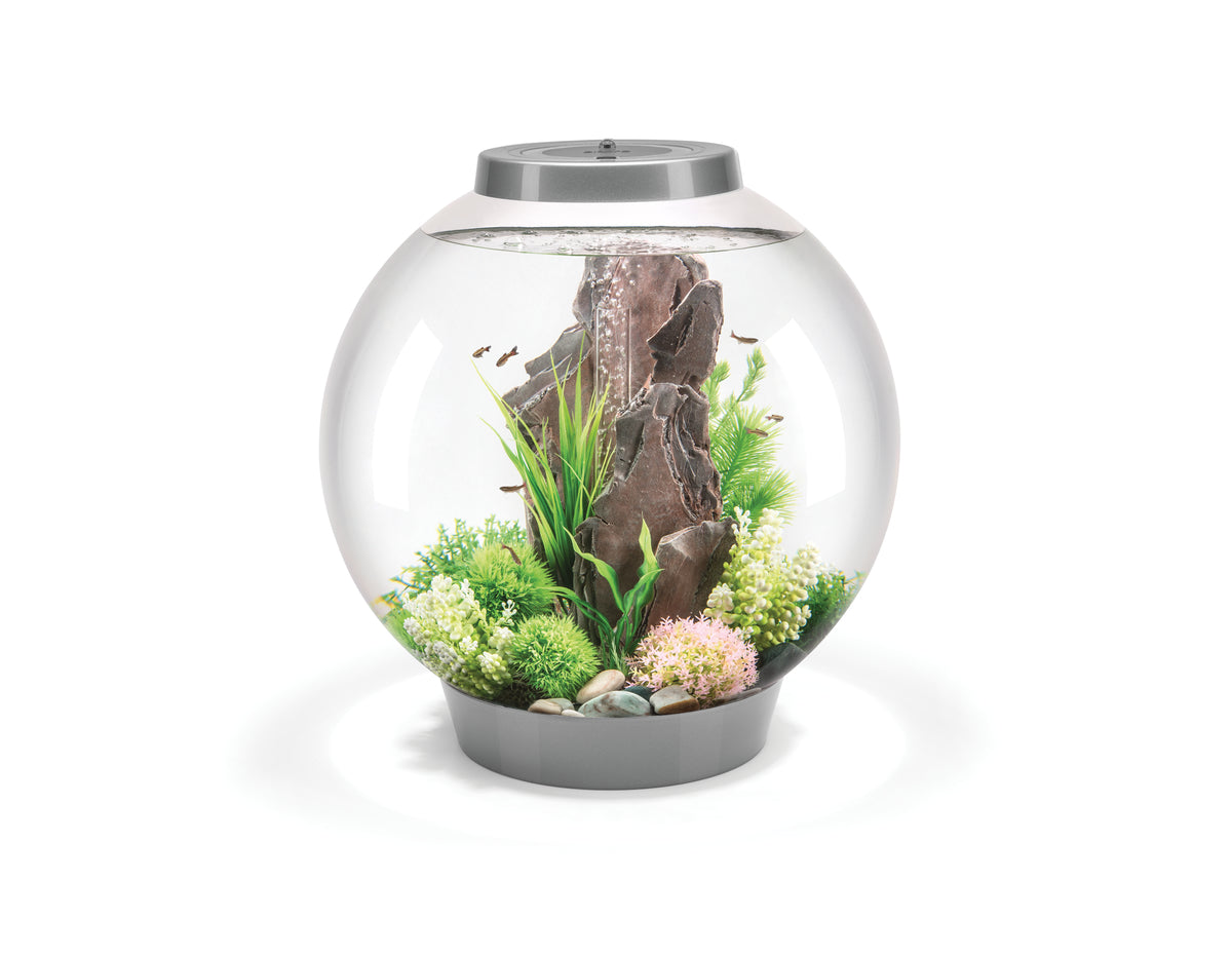 Aquarium biOrb CLASSIC 60 LED argenté — biOrb CLASSIC 60 LED zilver