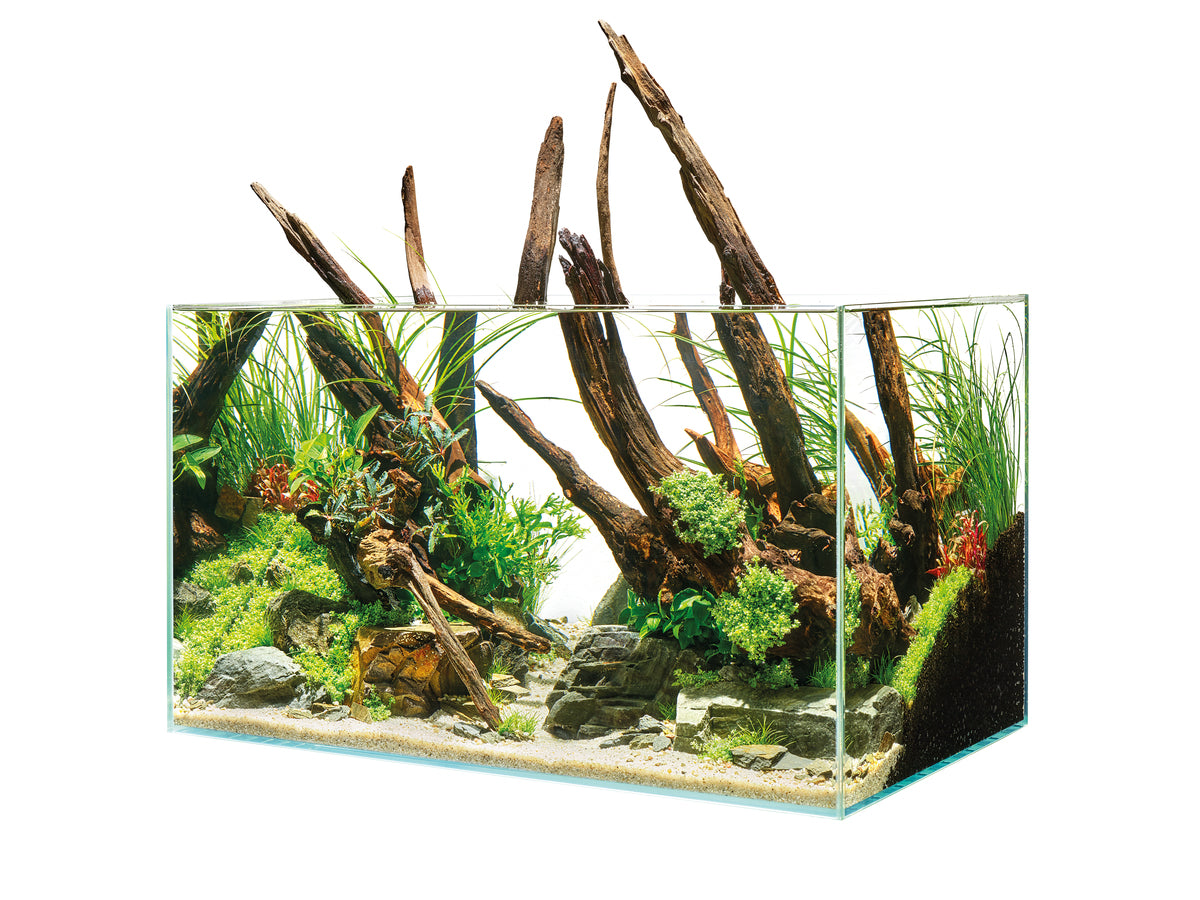 Aquarium ScaperLine 90 — ScaperLine 90 Aquarium