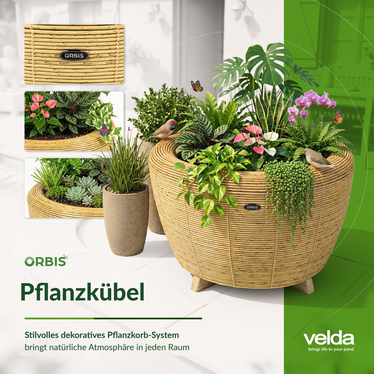 Jardinière Orbis Planter anthracite - Velda