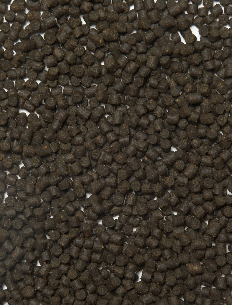 Nourriture pour poissons Sturgeon Fish Food 3000 ml - Velda