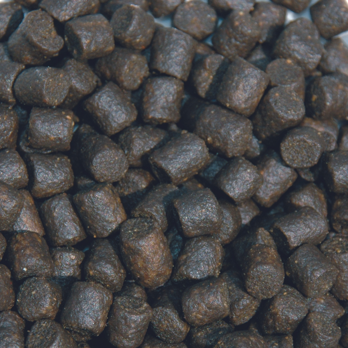 Nourriture pour poissons Sturgeon Pro green 6 mm 3 l - SaniKoi