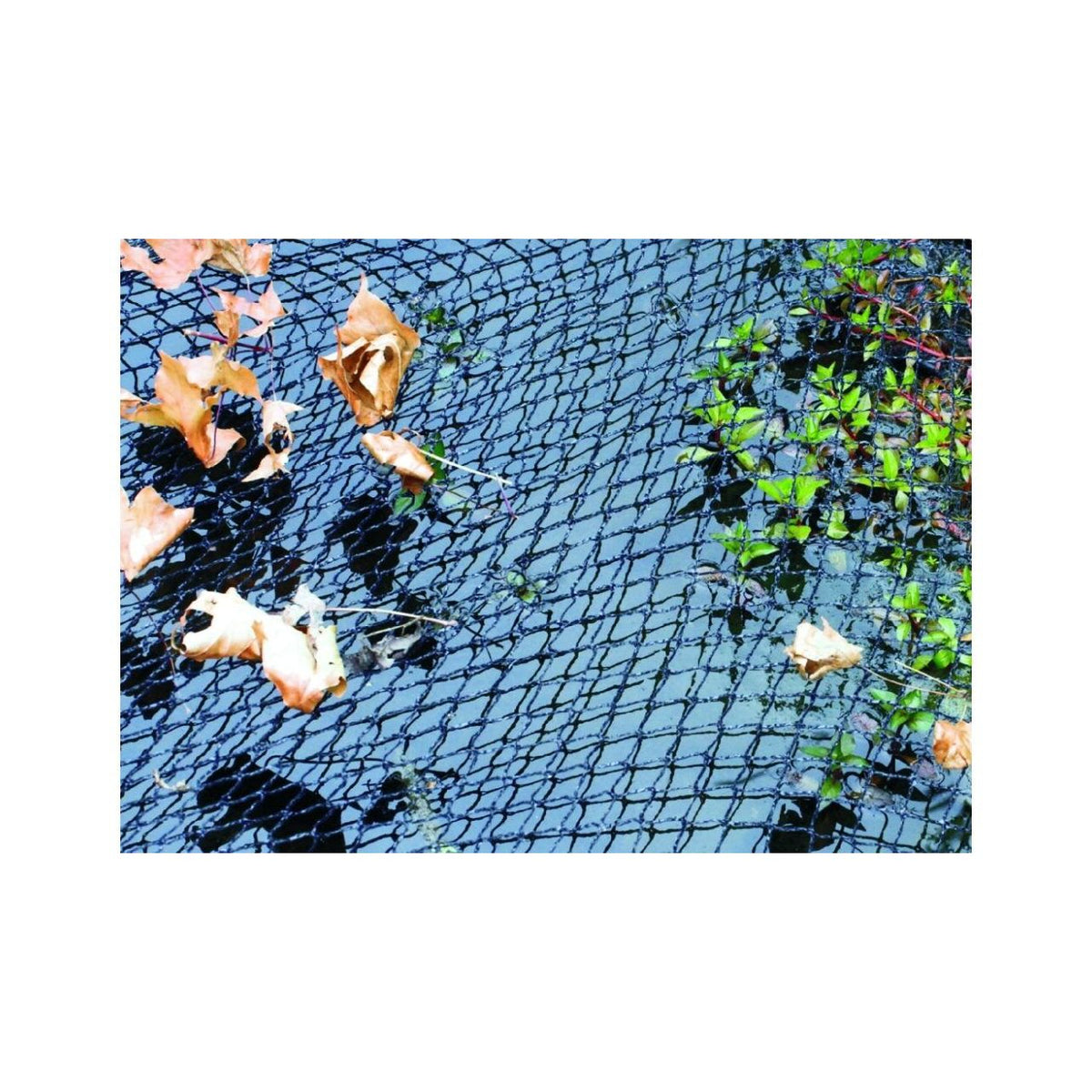 Filet de protection Cover Net 6x10 m - Velda