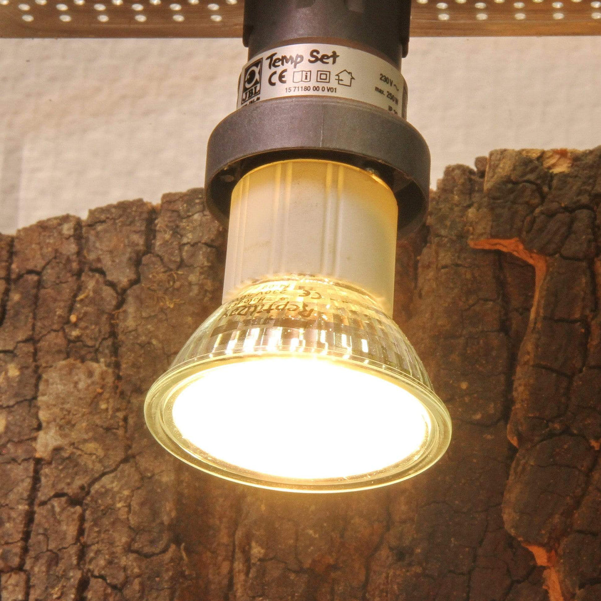 JBL Without Descri JBL ReptilDay Halogen 75W 4014162618436 6184300