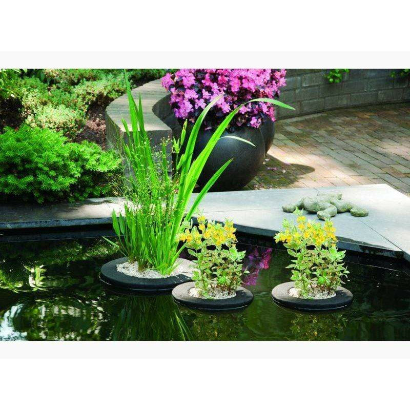 Velda Paniers de plantation Panier de plantation flottant carré de 35CM - Velda 8711921230750 127579